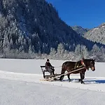 Algerhof Abtenau