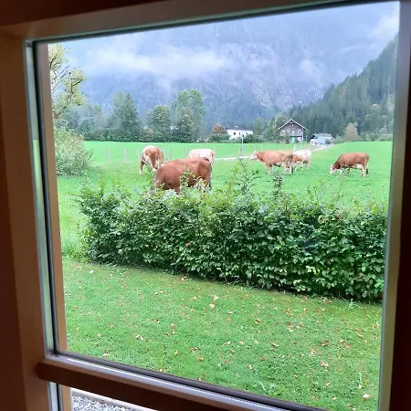 Algerhof Tatil Evi Abtenau